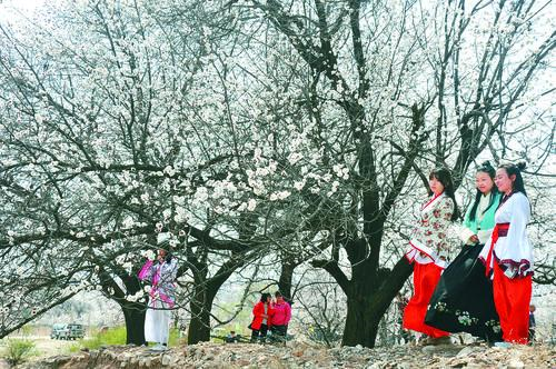 企鹅直播体育直播实时赛事